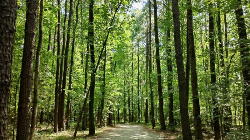 Lake Meade Park - Suffolk, VA