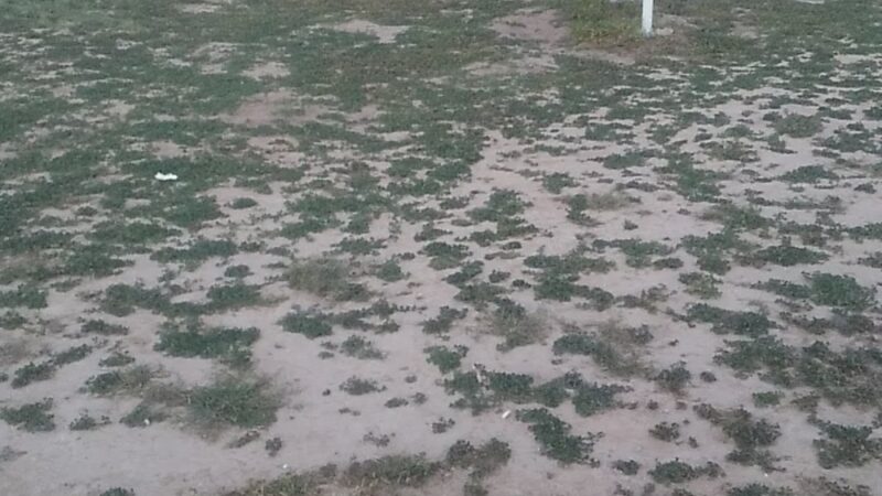 Sullivan City Memorial Park - Sullivan City, TX