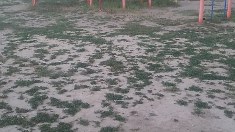 Sullivan City Memorial Park - Sullivan City, TX