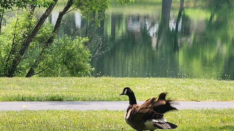 City Lake Park - Sullivan, MO