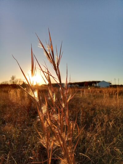 Tessa Park Walking Trail - Sullivan, MO
