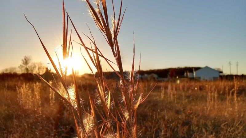Tessa Park Walking Trail - Sullivan, MO