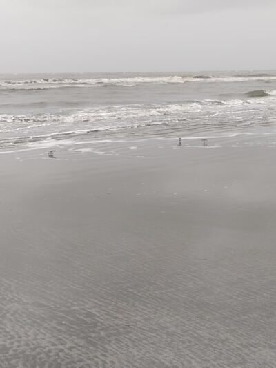 Station 22 - Public Beach Access - Sullivan's Island, SC