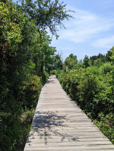 Station 23 - Public Beach Access - Sullivan's Island, SC