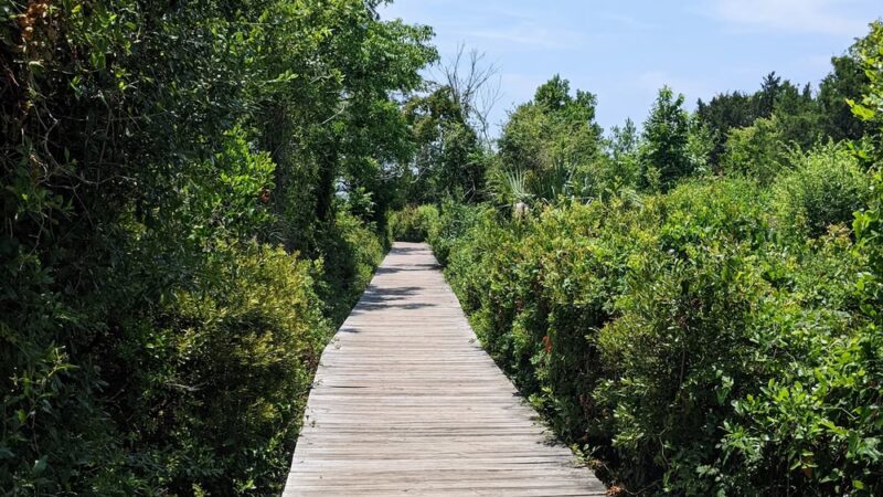 Station 23 - Public Beach Access - Sullivan's Island, SC
