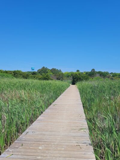 Station 25 - Public Beach Access - Sullivan's Island, SC