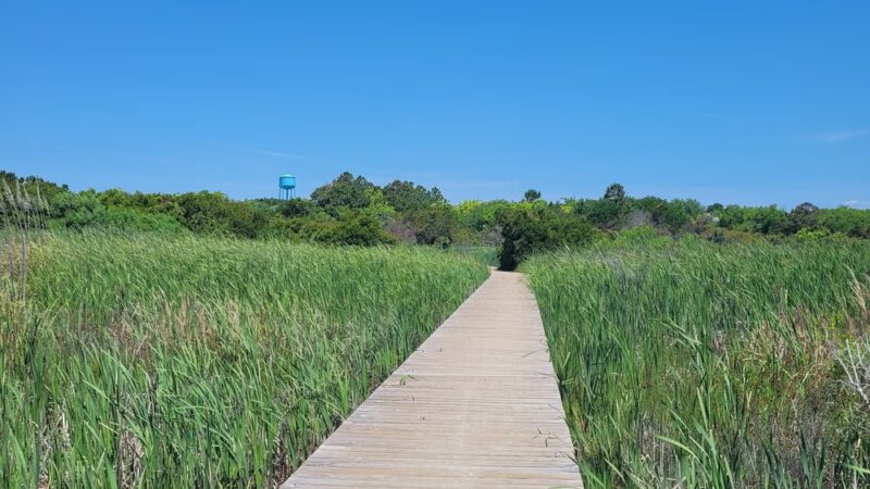 Station 25 - Public Beach Access - Sullivan's Island, SC