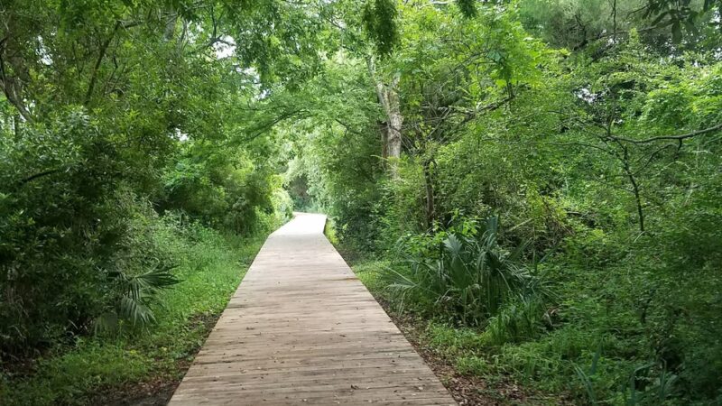Station 25 - Public Beach Access - Sullivan's Island, SC