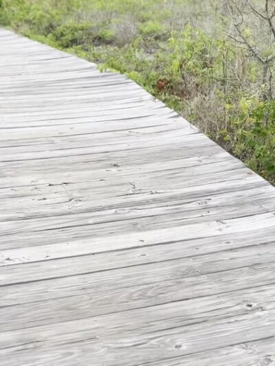 Sullivan's Island Nature Trail - Sullivan's Island, SC