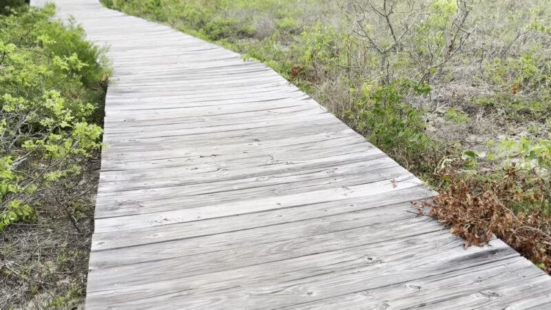 Sullivan's Island Nature Trail - Sullivan's Island, SC