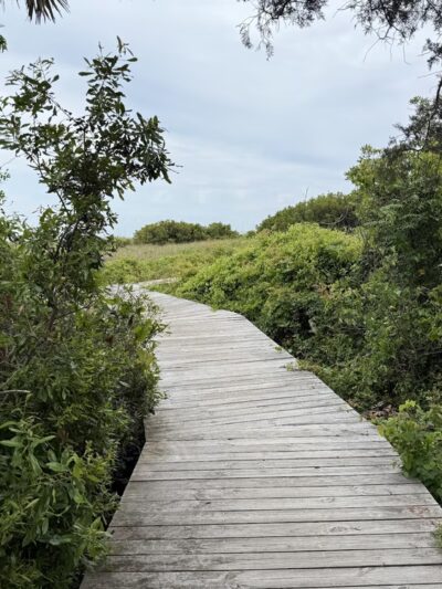 Sullivan's Island Nature Trail - Sullivan's Island, SC