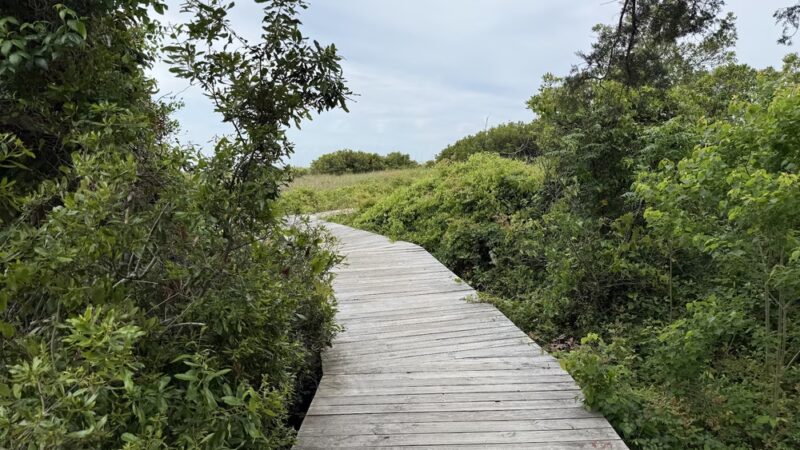 Sullivan's Island Nature Trail - Sullivan's Island, SC