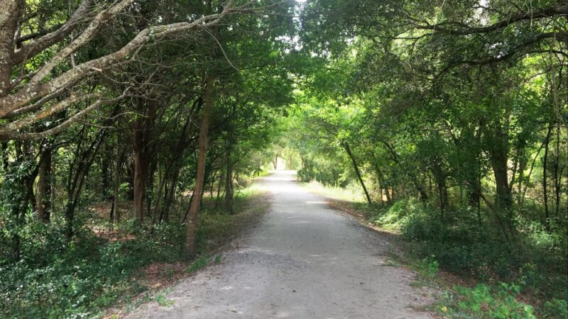 Sullivan's Island Nature Trail - Sullivan's Island, SC