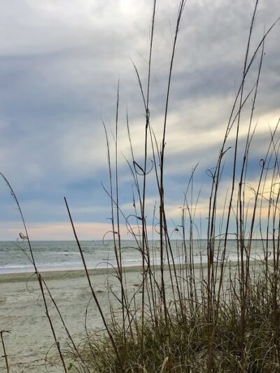 Sullivans Island - Sullivan's Island, SC