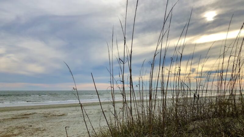 Sullivans Island - Sullivan's Island, SC