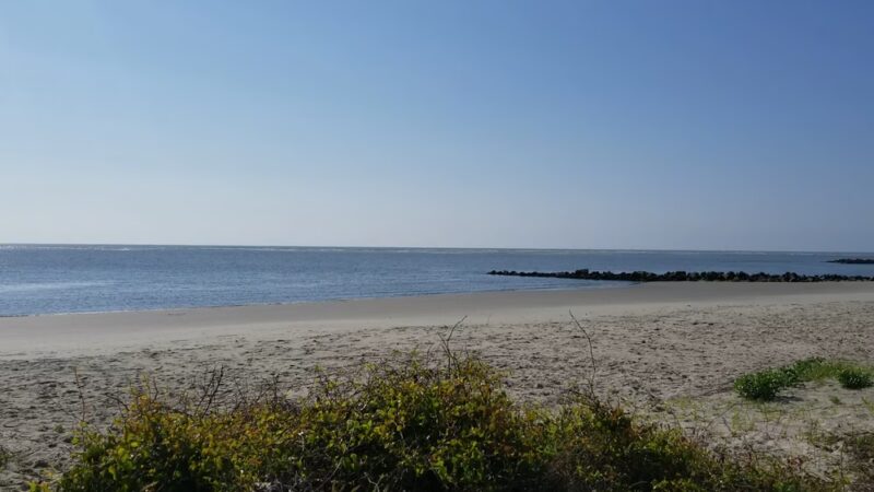 Thomson Park - Sullivan's Island, SC