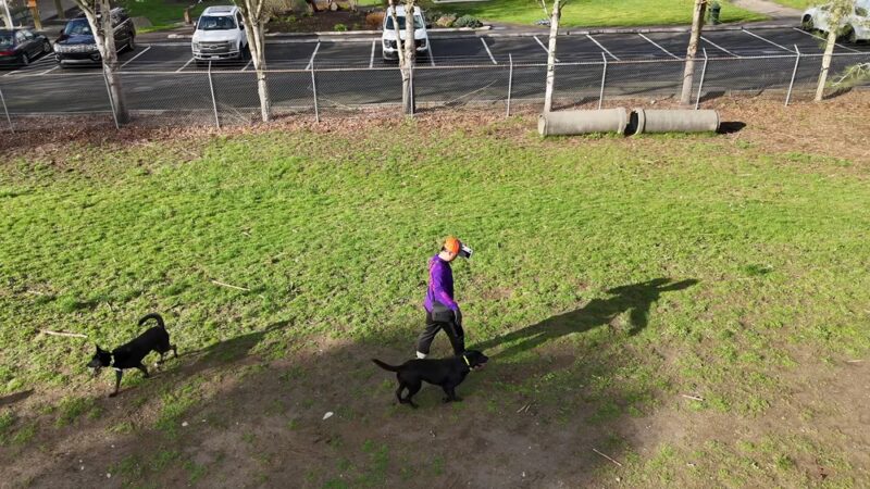 Sultan dog park - Sultan, WA