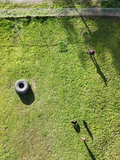 Sultan dog park - Sultan, WA