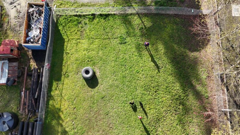 Sultan dog park - Sultan, WA