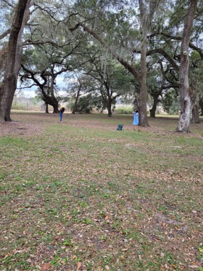W. H. Willoughby Park - Summerfield, FL