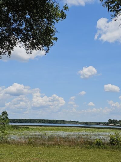 W. H. Willoughby Park - Summerfield, FL