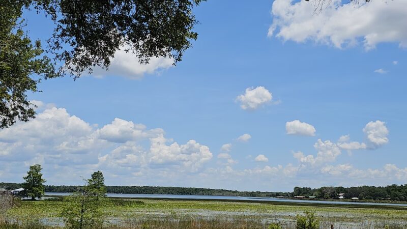 W. H. Willoughby Park - Summerfield, FL