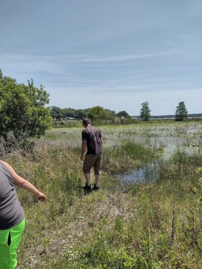 W. H. Willoughby Park - Summerfield, FL