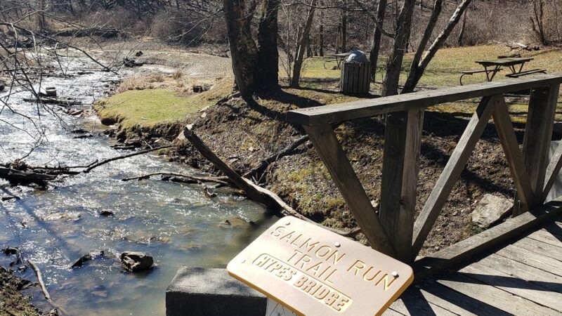 Hughes Bridge-Salmon Run Trail - Summersville, WV