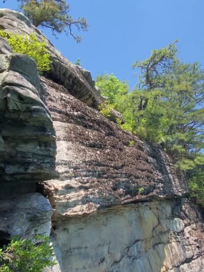 Long Point Trail at Summersville Lake - Summersville, WV