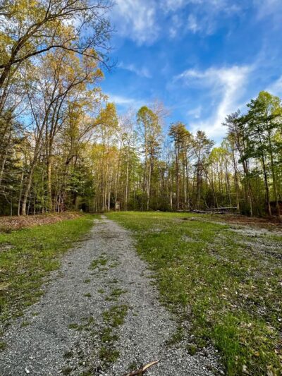 Long Point Trail at Summersville Lake - Summersville, WV