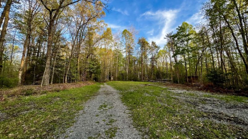 Long Point Trail at Summersville Lake - Summersville, WV
