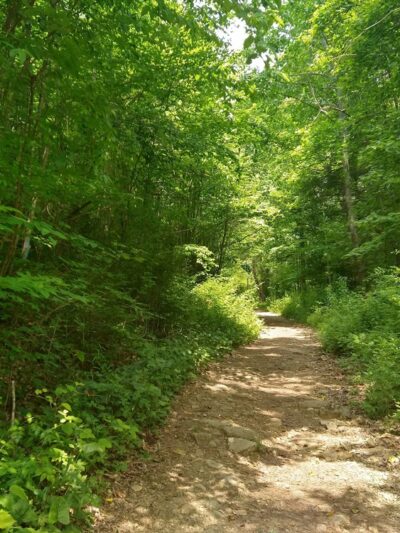 Pirate's Cove - Summersville, WV