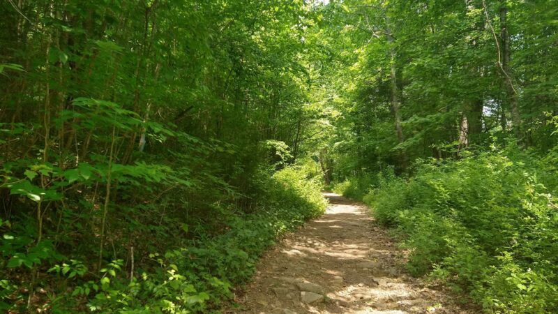Pirate's Cove - Summersville, WV
