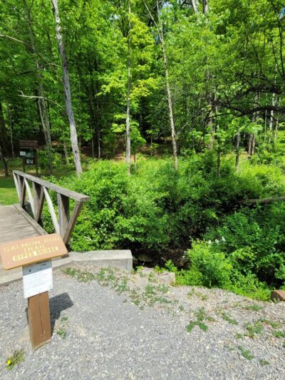 Salmon Run Trail - Summersville, WV