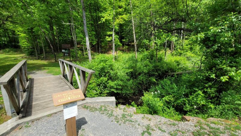 Salmon Run Trail - Summersville, WV