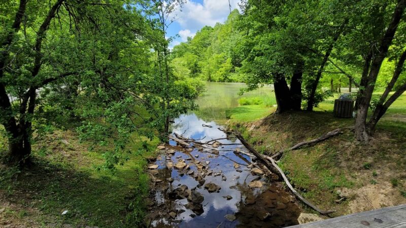 Salmon Run Trail - Summersville, WV