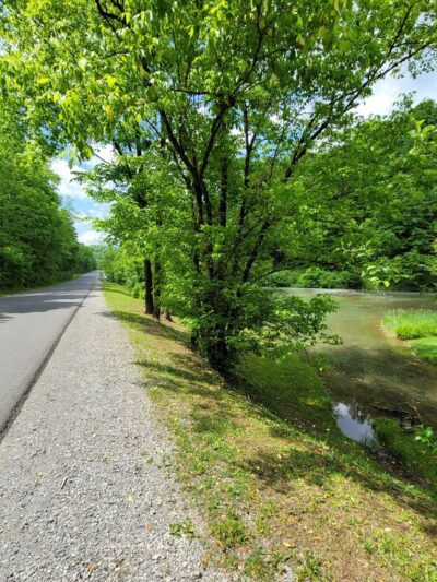 Salmon Run Trail - Summersville, WV