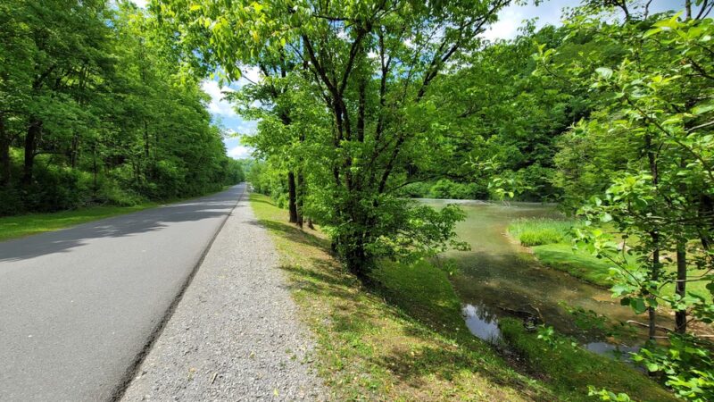 Salmon Run Trail - Summersville, WV