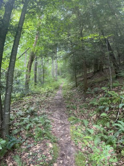 Salmon Run Trail - Summersville, WV
