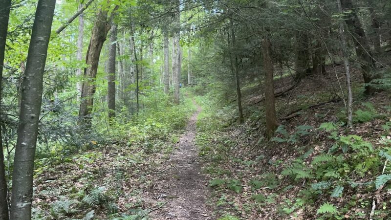 Salmon Run Trail - Summersville, WV
