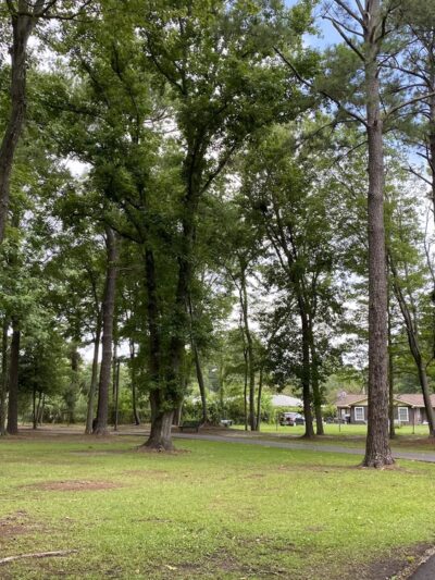 Wassamassaw Community Park - Summerville, SC