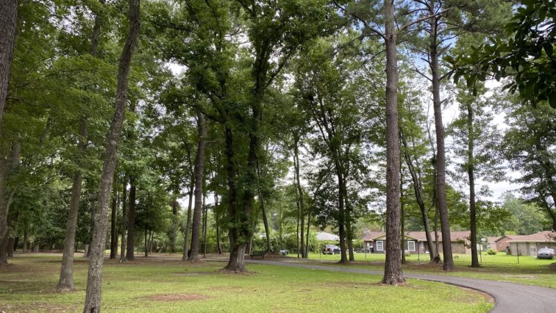 Wassamassaw Community Park - Summerville, SC