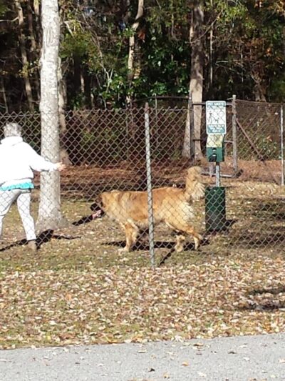 Wassamassaw Community Park - Summerville, SC