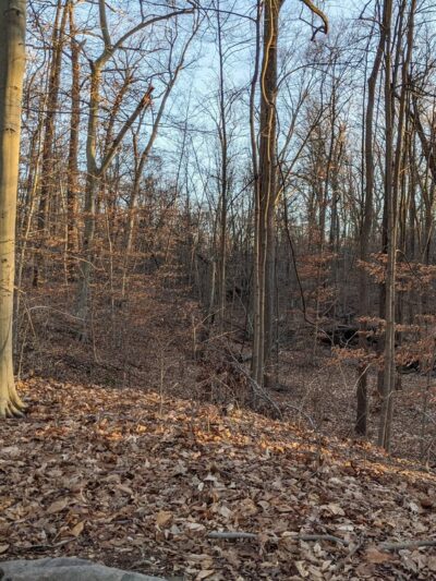 Passaic River Park - Summit, NJ