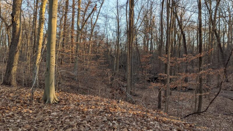 Passaic River Park - Summit, NJ