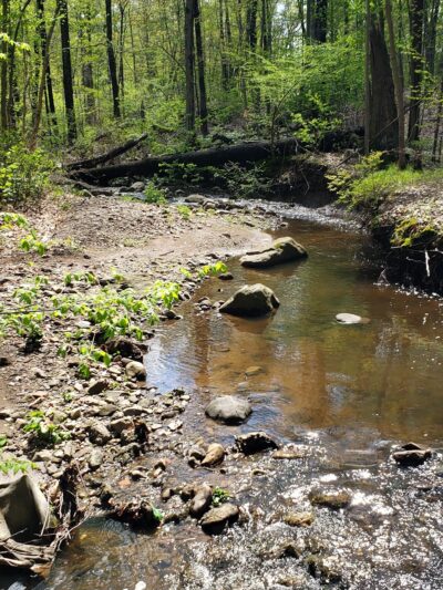Passaic River Park - Summit, NJ