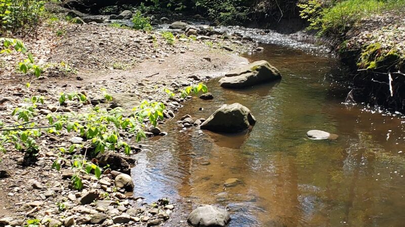 Passaic River Park - Summit, NJ