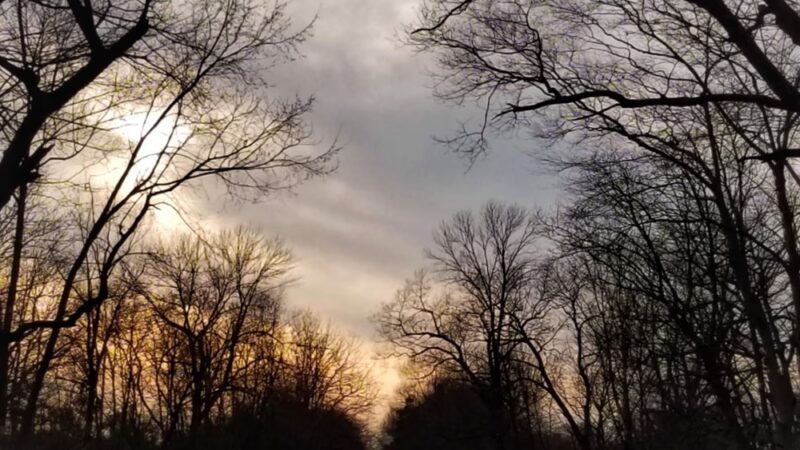 Passaic River Park - Summit, NJ