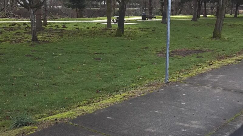 Parking for Sumner Link Trail - Sumner, WA