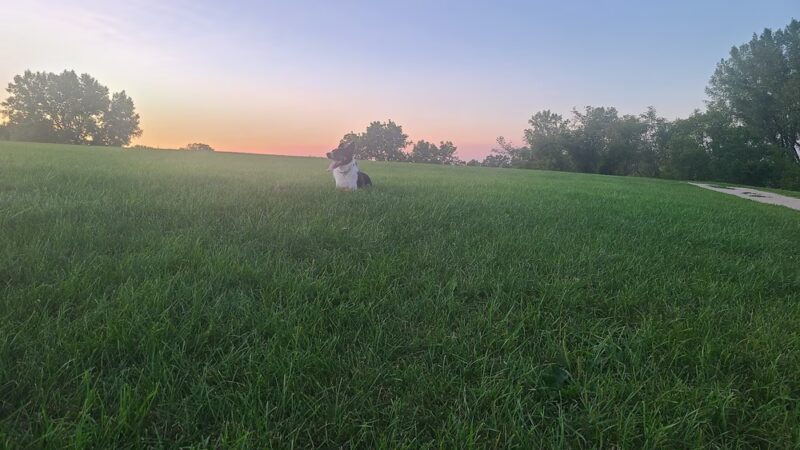 Sun Prairie Pet Exercise Area - Sun Prairie, WI